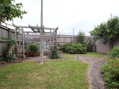 Picture 14